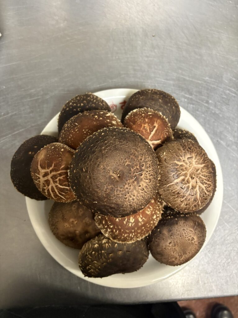 きのこさん家のしいたけ🍄