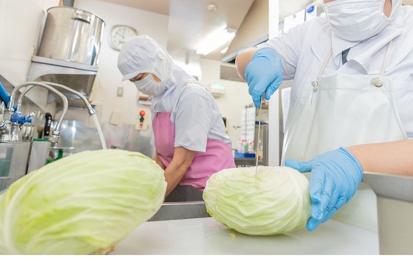 新鮮野菜を毎日